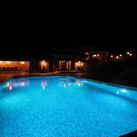 Belvedere * Coccorino